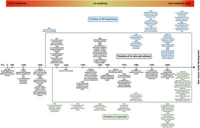 3D bioprinting and the revolution in experimental cancer model systems—A review of developing new models and experiences with in vitro 3D bioprinted breast cancer tissue-mimetic structures